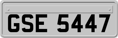 GSE5447