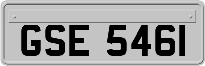 GSE5461