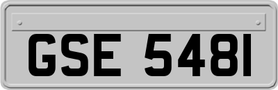 GSE5481