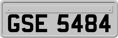 GSE5484