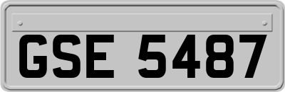 GSE5487