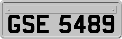 GSE5489