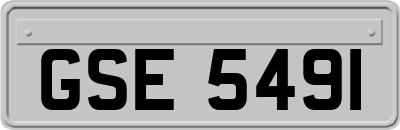 GSE5491