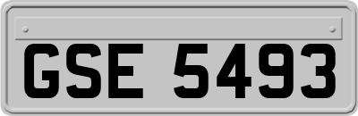 GSE5493