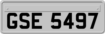 GSE5497