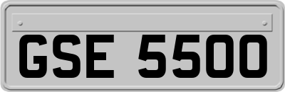 GSE5500