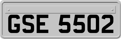GSE5502