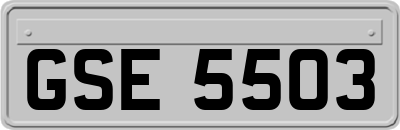 GSE5503