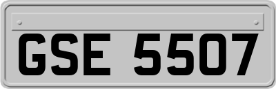GSE5507