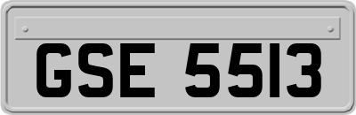 GSE5513