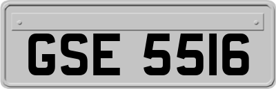 GSE5516