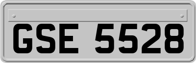 GSE5528