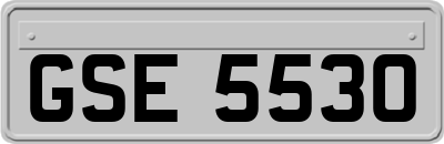 GSE5530