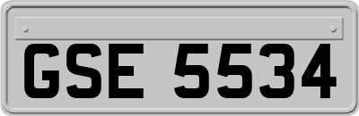 GSE5534