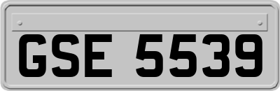 GSE5539