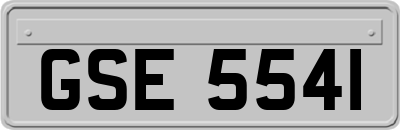 GSE5541