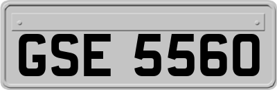 GSE5560
