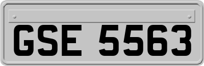 GSE5563