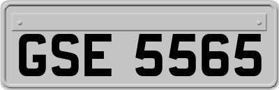 GSE5565