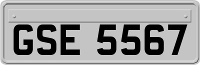 GSE5567