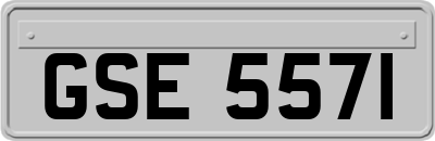 GSE5571