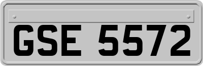 GSE5572