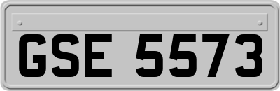 GSE5573