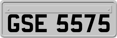 GSE5575