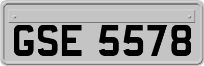GSE5578