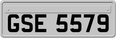 GSE5579