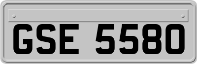 GSE5580
