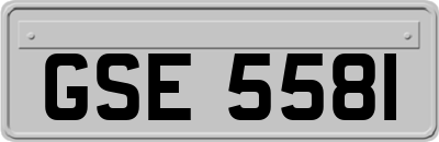 GSE5581