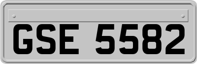 GSE5582