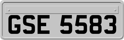 GSE5583