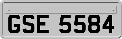 GSE5584