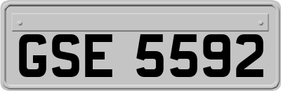 GSE5592