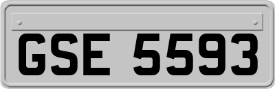 GSE5593