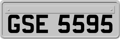 GSE5595