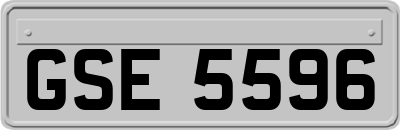 GSE5596