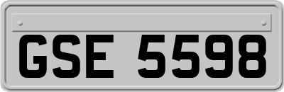 GSE5598