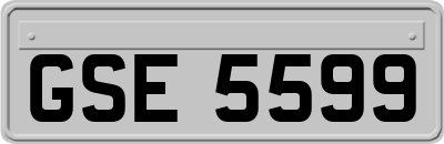 GSE5599