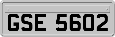GSE5602