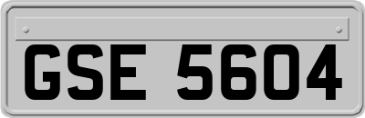 GSE5604