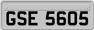 GSE5605
