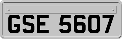 GSE5607