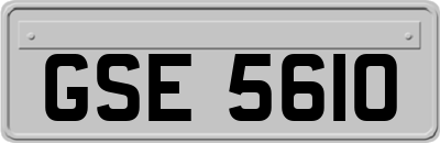 GSE5610