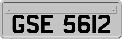 GSE5612
