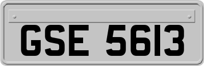 GSE5613