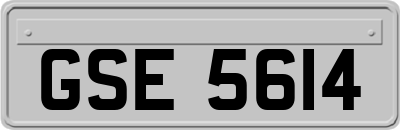 GSE5614