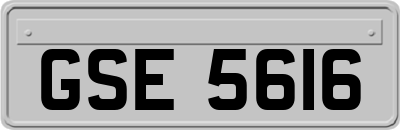 GSE5616